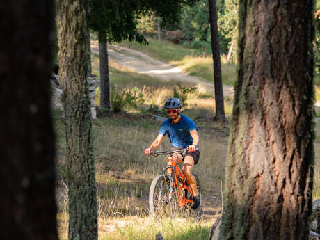 LES BORDS DE LA TÊT ( VTT 36 )
