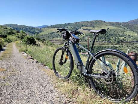 LOCATION DE VÉLO À COLLIOURE - BIKE TRUCK ALBERA