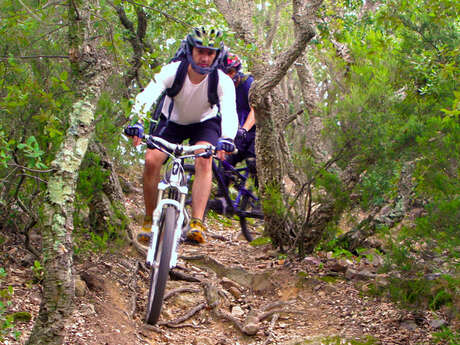 LA BOUCLE DES MAS (CIRCUIT 8)