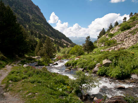 RESERVE NATURELLE D'EYNE