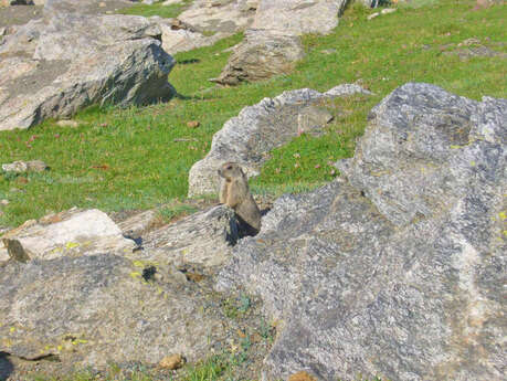 PR 4 - LA VALLEE DU CAROL