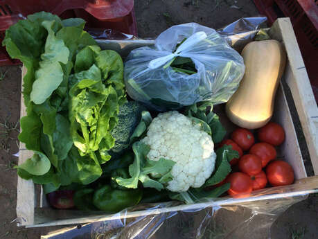 LES VERGERS DES CABANES