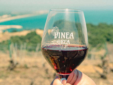 VINEA OREA
