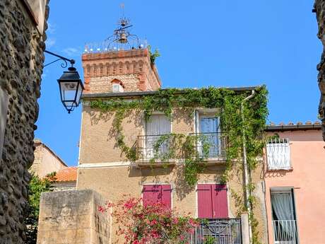 VISITE GUIDEE "HISTOIRE D'UN TERROIR CATALAN"