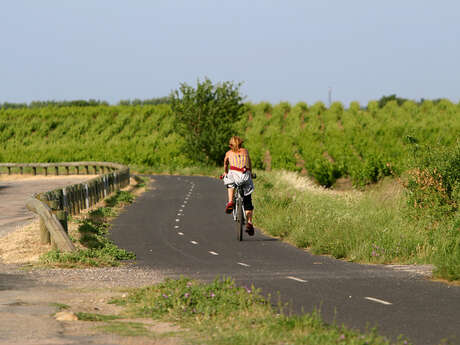 VOIE VERTE PERPIGNAN THUIR