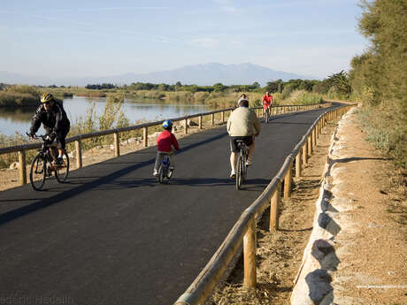 VOIE VERTE DE L'AGLY LE BARCARES RIVESALTES - LA VELOSUD
