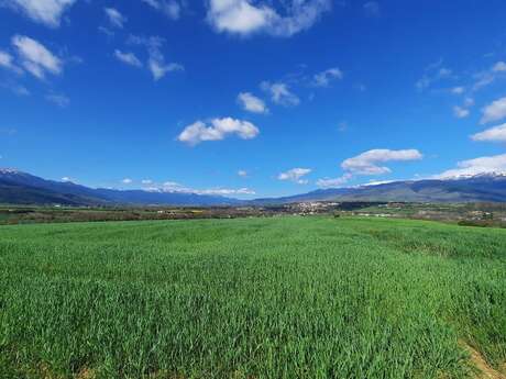 PR 83 - SENTIER DU BOSQUET