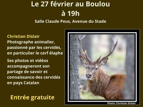 CONFÉRENCE SUR LES CERVIDÉS