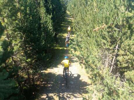 VTT 4 - LA FORET MAGIQUE