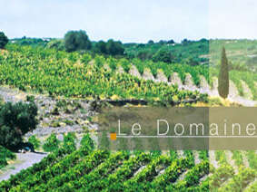 CHATEAU DE JAU