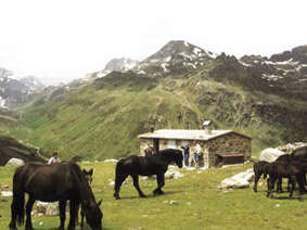 TRANSHUMANCE DES CHEVAUX DE MERENS