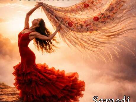 GALA DE FLAMENCO