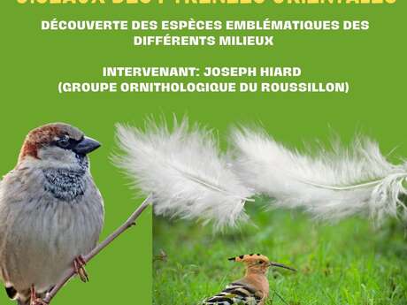 CONFÉRENCE " LES OISEAUX DES PYRÉNÉES ORIENTALES"