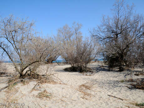 RESERVE NATURELLE NATIONALE DU MAS LARRIEU