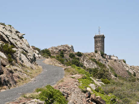 BANYULS-SUR-MER - MADELOC