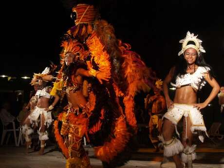 SHOW BRESILIEN LATIN TROPIC