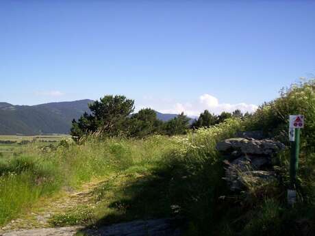 BAC DE DELLÀ (VTT 9)