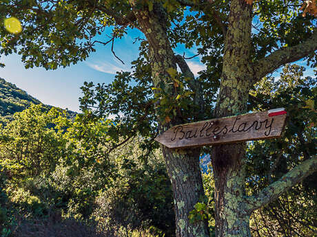 RANDO ACCOMPAGNEE : DE BAILLESTAVY A VALMANYA PAR DE BEAUX SENTIERS EN FORET