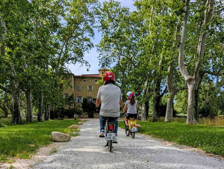 BALADE EN SOLEX ET DEGUSTATION DE VINS