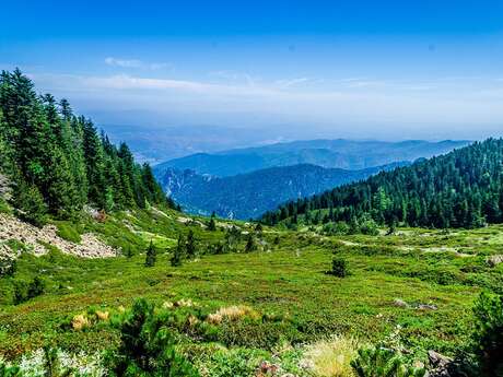 BOUCLE DES CORTALETS