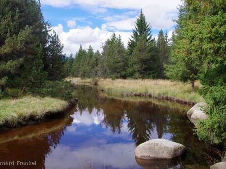 VALLÉE DE LA TÊT (VTT 30)