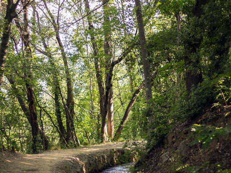 RANDO ACCOMPAGNEE : LE CANAL DE BOHERE ET L'ABBAYE SAINT-MICHEL DE CUXA