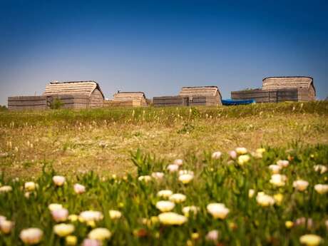 L'ETANG ET LE VILLAGE DE PÊCHEURS