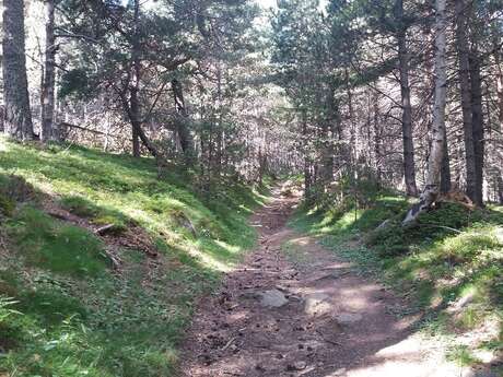 SUR LA ROUTE DES CANONS