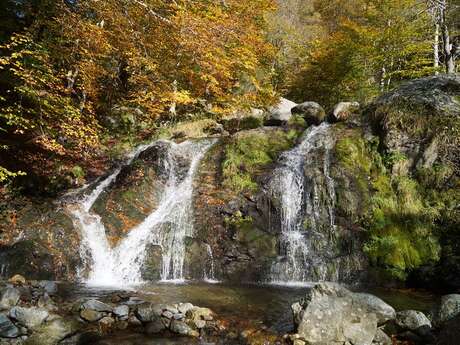 CAL CABÚS ET LA PARCIGOLA