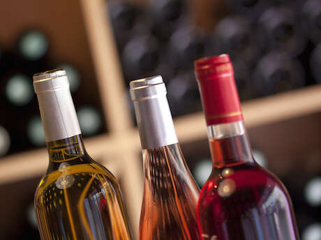 DÉGUSTATION VIGNERONNE -  LE CELLIER DES ARCADES