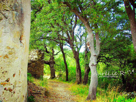 LA CHAPELLE SAINT-LAURENT