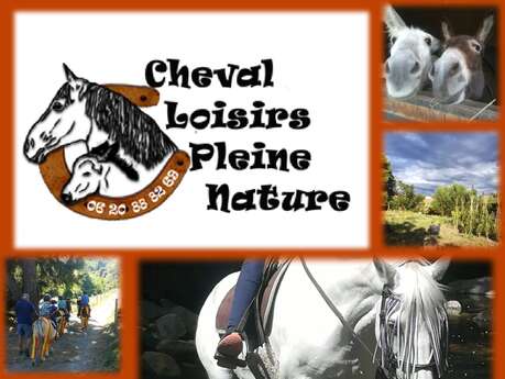 CHEVAL LOISIRS PLEINE NATURE