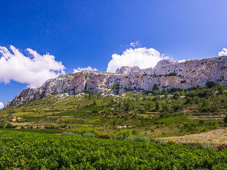 FALAISES ET CONTREBANDIERS