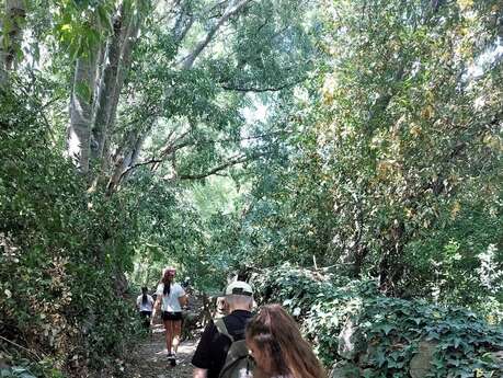 BALADE "SI SOREDE M'ETAIT CONTE"