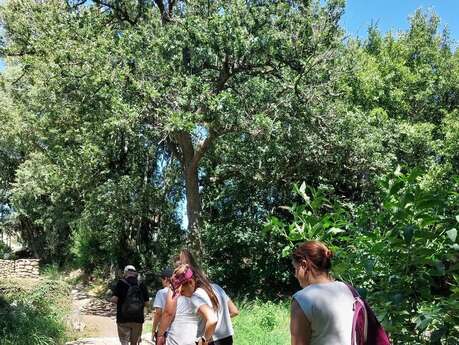 BALADE "SI SOREDE M'ETAIT CONTE"