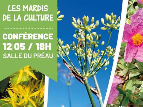 CONFERENCE LES PLANTES D'AQUI