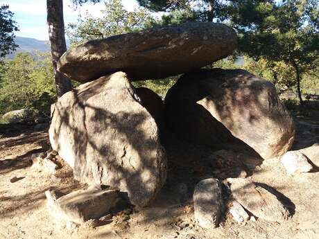 LE DOLMEN DE LA LLOSETA