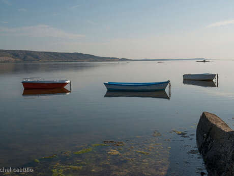 ETANG SALSES - LEUCATE