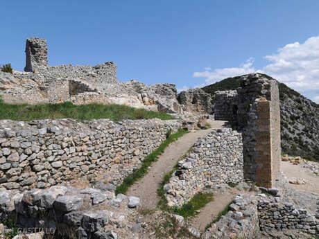 CHÂTEAU SAINT-PIERRE DE FENOUILLET
