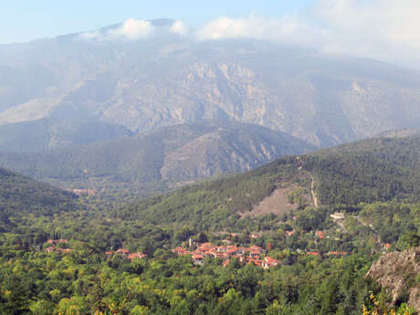 RANDO ACCOMPAGNEE : BOUCLE FORESTIERE VERS LE BALCON DU COGULLO