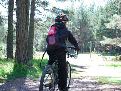 FORÊT DE LA MATTE JUNIOR (VTT 7)