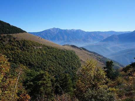 RANDO ACCOMPAGNEE : SENTIER DE DECOUVERTE DE LA RESERVE NATURELLE DE JUJOLS ROC DE LA COSTA