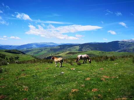 VERSION FREE-RIDE DU N°17