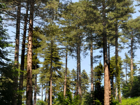 LE PERTHUS - COL DE L'OUILLAT