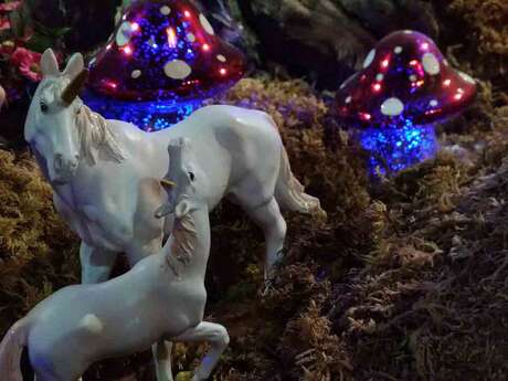 FANTASSIA PARC DE LA FEERIE