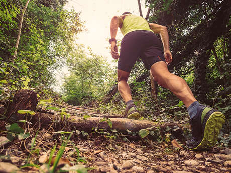 ULTRA SUD CANIGOU MONTAGNE