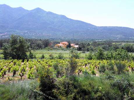 MAS MARGOUILLAT DEL CAMI