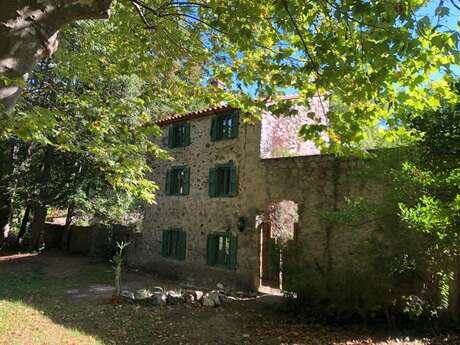 LE GRAND CEDRE GÎTE