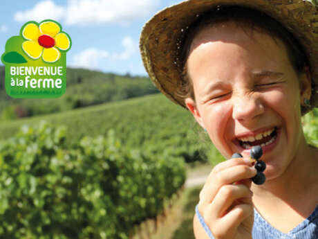 FERMES EN FÊTE AUX SAVEURS PAYSANNES