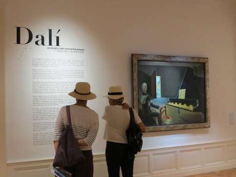 PLEIN CIEL SUR LES COLLECTIONS - VISITE GUIDÉE ADULTE